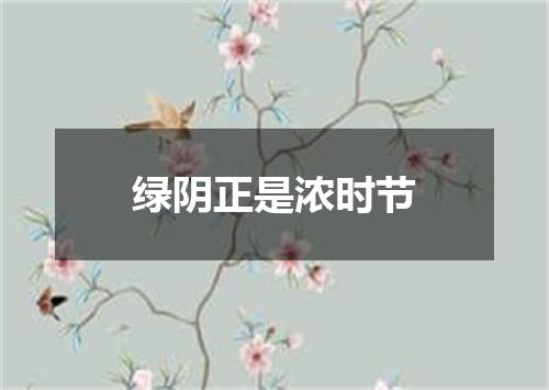 绿阴正是浓时节