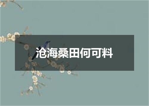 沧海桑田何可料