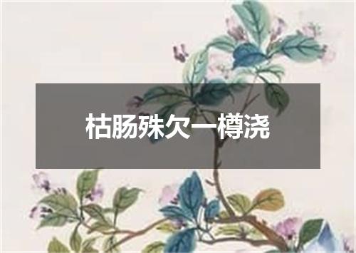 枯肠殊欠一樽浇