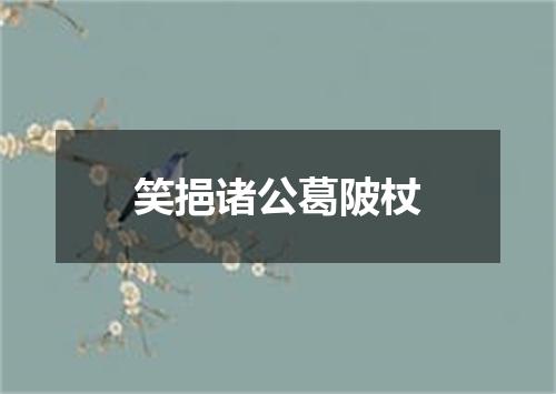 笑挹诸公葛陂杖