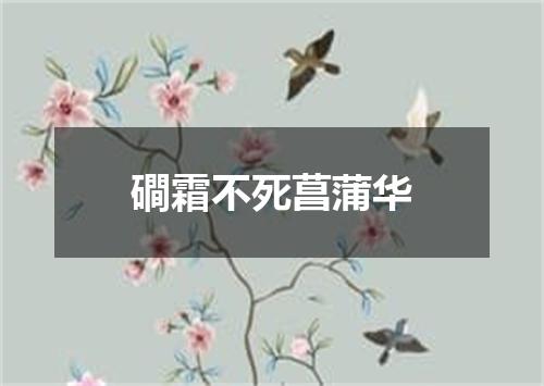 磵霜不死菖蒲华