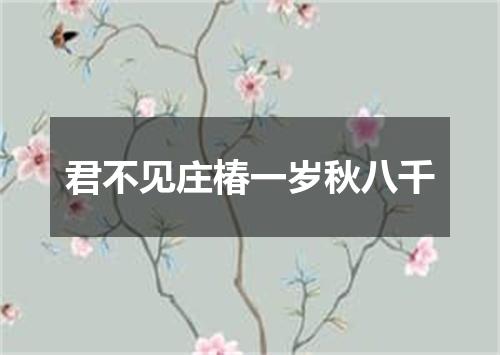 君不见庄椿一岁秋八千