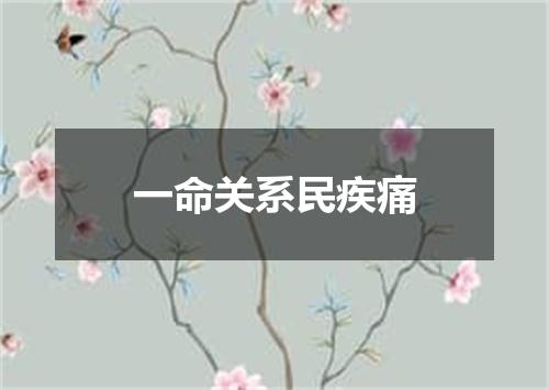 一命关系民疾痛