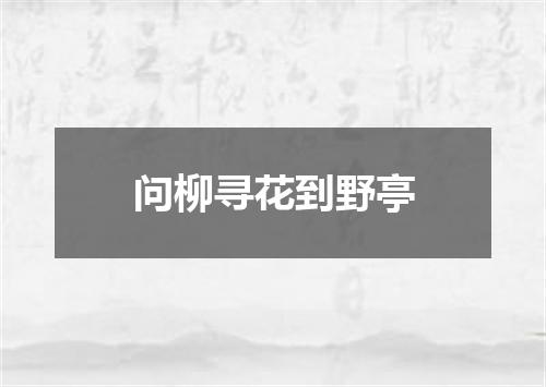 问柳寻花到野亭