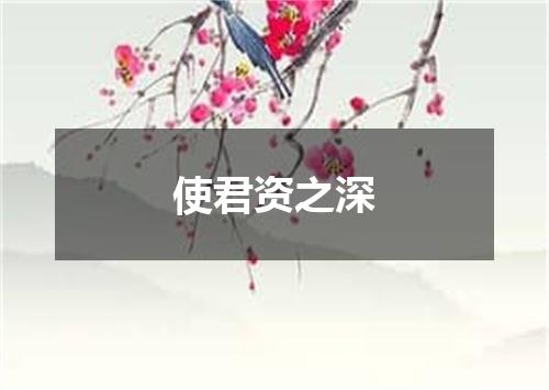 使君资之深