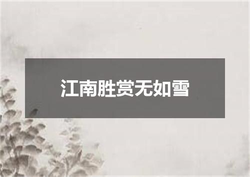 江南胜赏无如雪