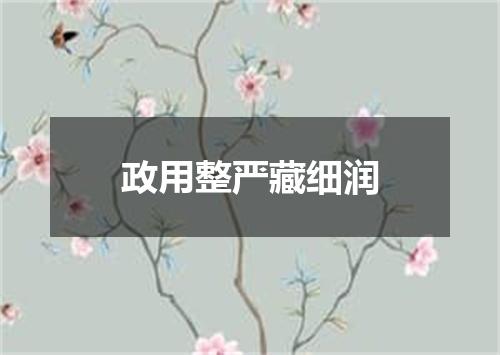 政用整严藏细润