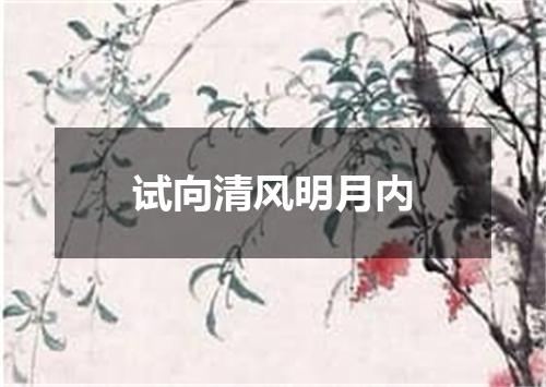 试向清风明月内