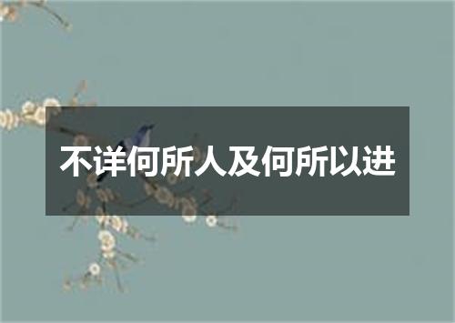 不详何所人及何所以进