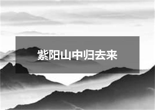 紫阳山中归去来