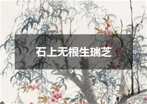 石上无根生瑞芝