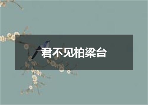 君不见柏梁台