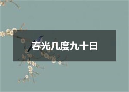 春光几度九十日