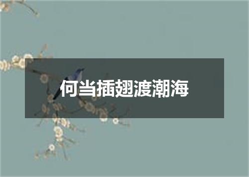 何当插翅渡潮海