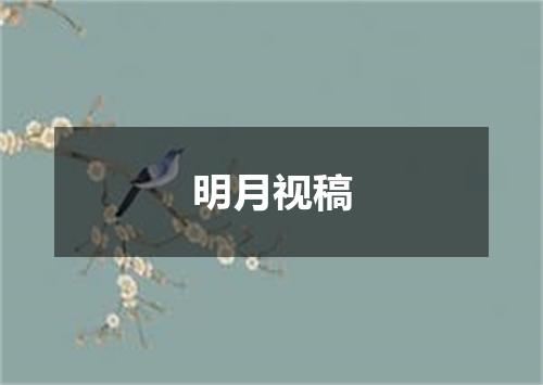 明月视稿