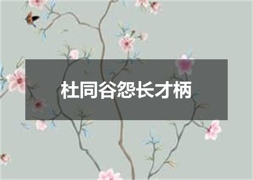 杜同谷怨长才柄