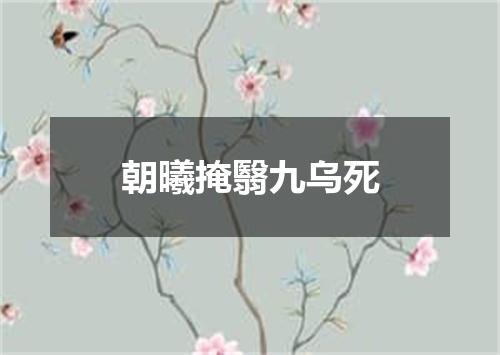 朝曦掩翳九乌死