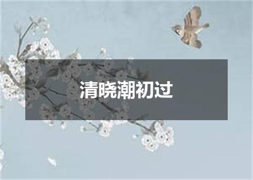 清晓潮初过