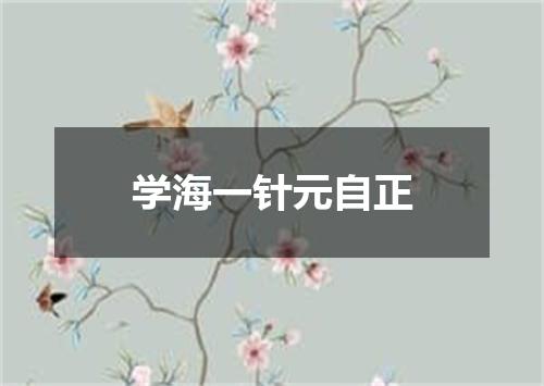 学海一针元自正