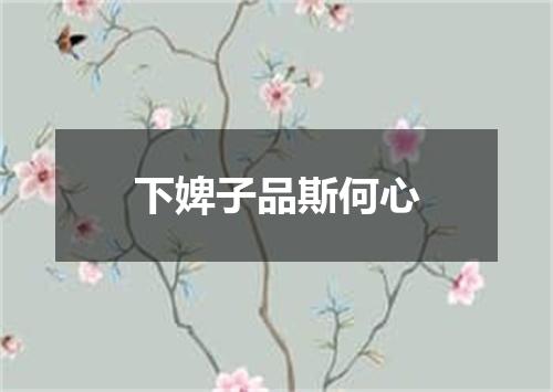 下婢子品斯何心