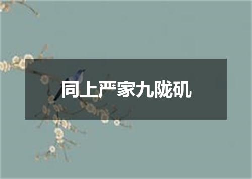 同上严家九陇矶