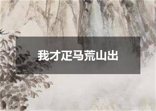 我才疋马荒山出