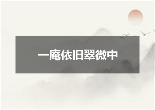 一庵依旧翠微中