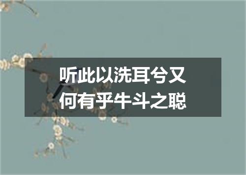 听此以洗耳兮又何有乎牛斗之聪