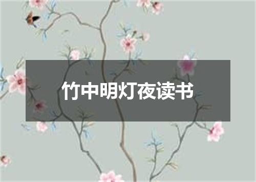 竹中明灯夜读书