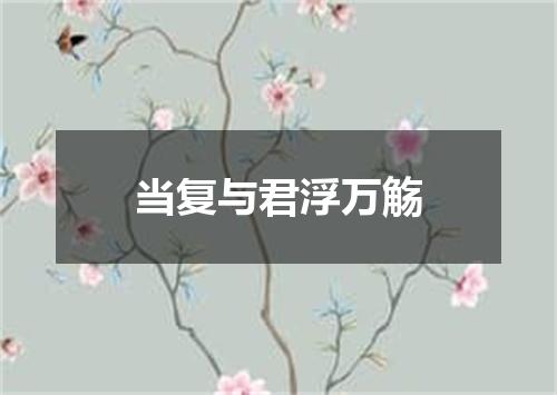 当复与君浮万觞