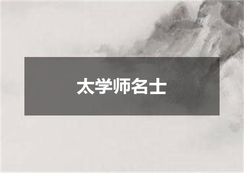 太学师名士