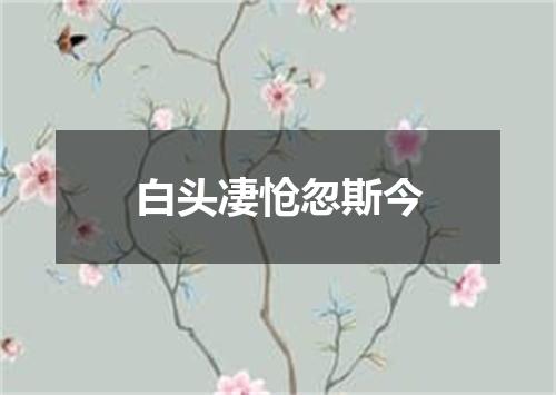 白头凄怆忽斯今