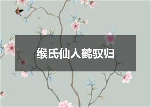 缑氏仙人鹤驭归