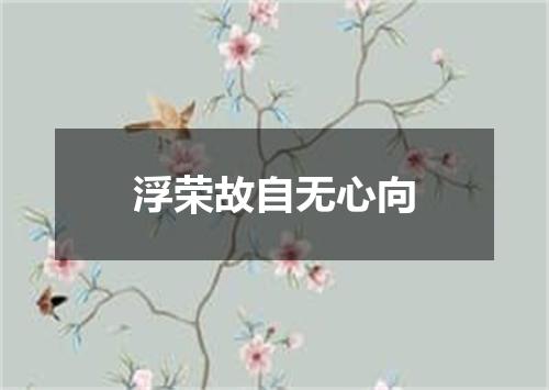 浮荣故自无心向