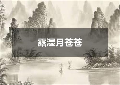 露湿月苍苍