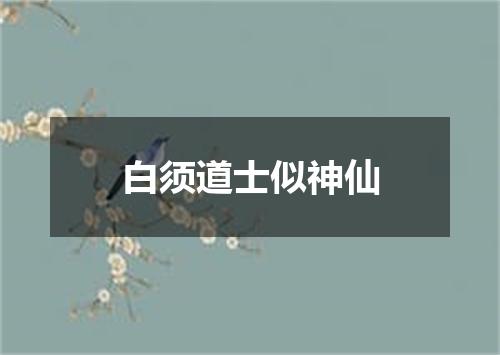 白须道士似神仙