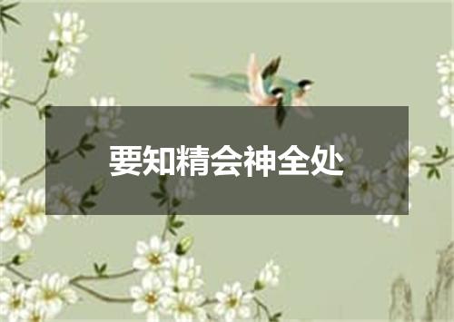 要知精会神全处