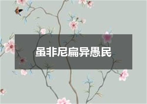 虽非尼扁异愚民