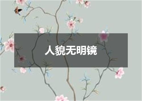 人貌无明镜