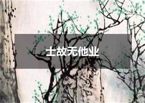 士故无他业