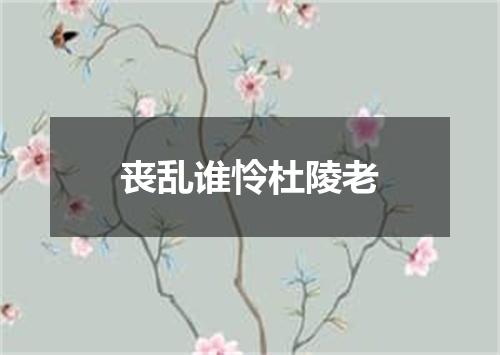 丧乱谁怜杜陵老