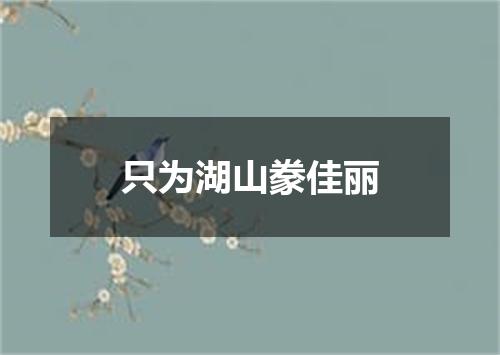 只为湖山豢佳丽