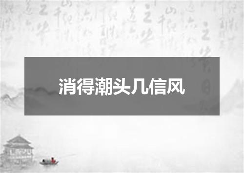 消得潮头几信风