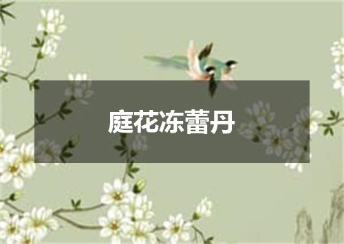 庭花冻蕾丹