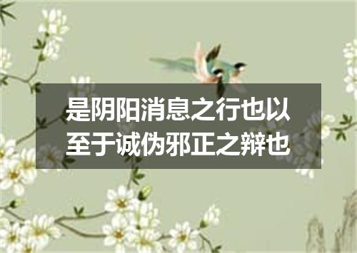 是阴阳消息之行也以至于诚伪邪正之辩也