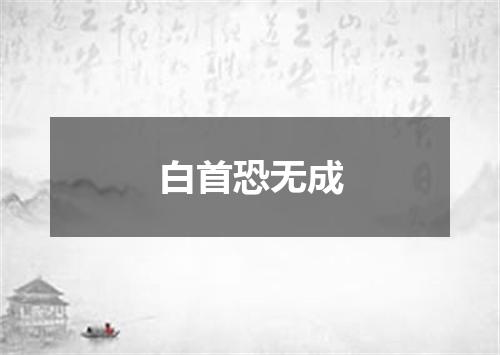 白首恐无成