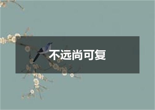 不远尚可复