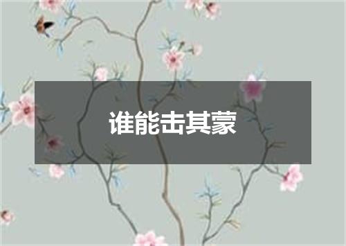 谁能击其蒙