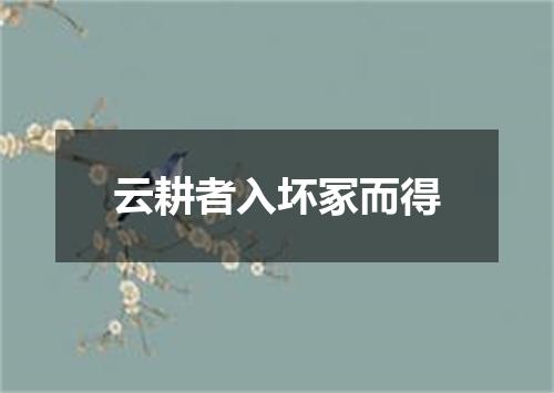 云耕者入坏冢而得