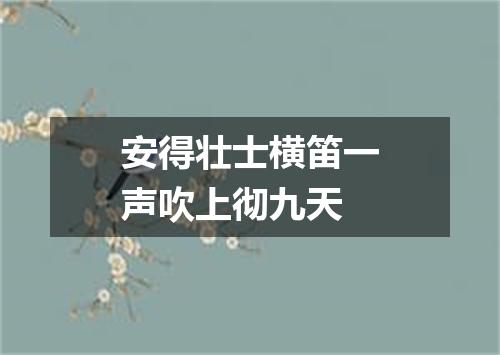 安得壮士横笛一声吹上彻九天